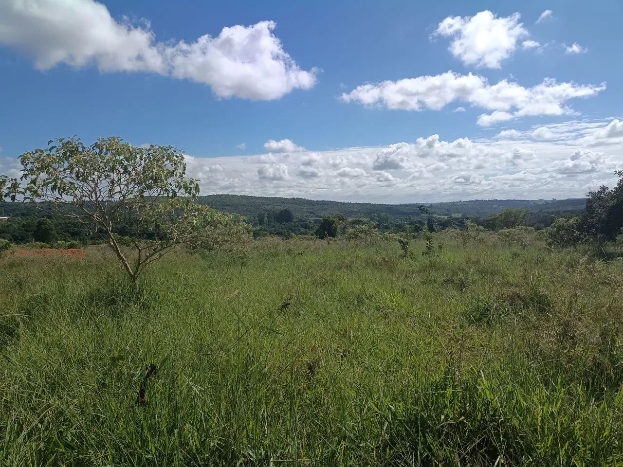 chácara Abadiânia parcelada  - Foto 5