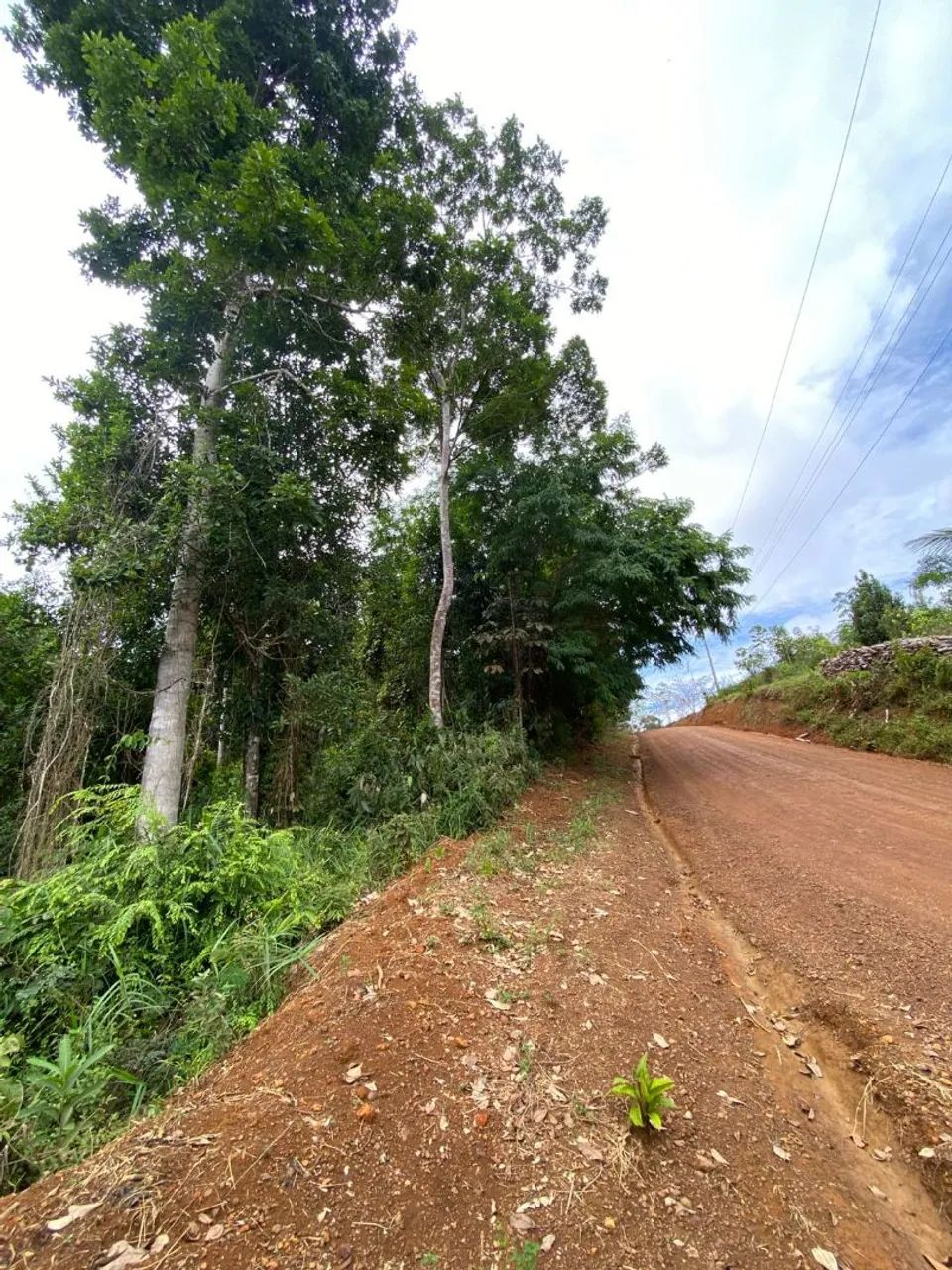Terra a venda  - Foto 3