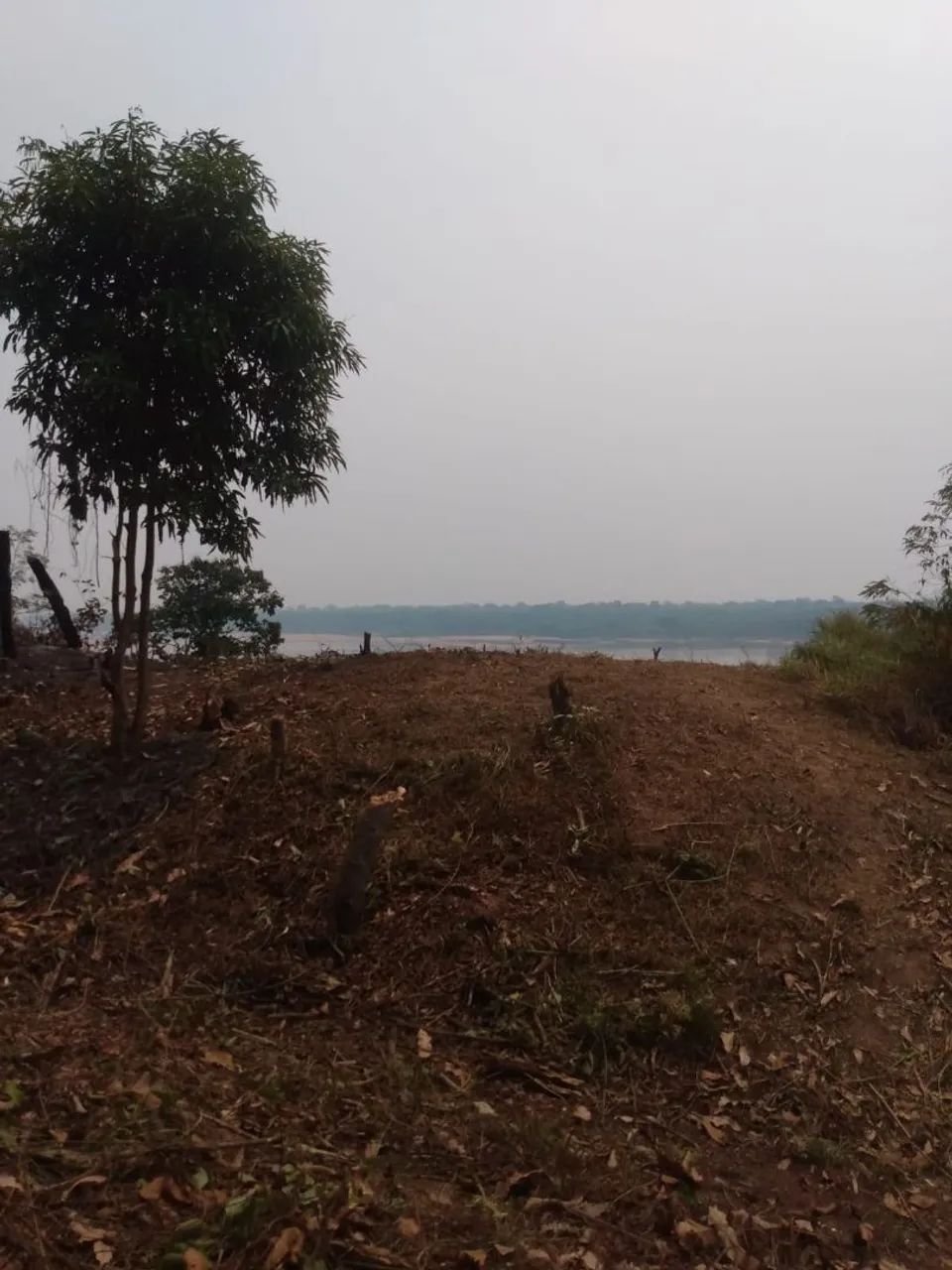 Terreno rural ramal nova aliança - Foto 4
