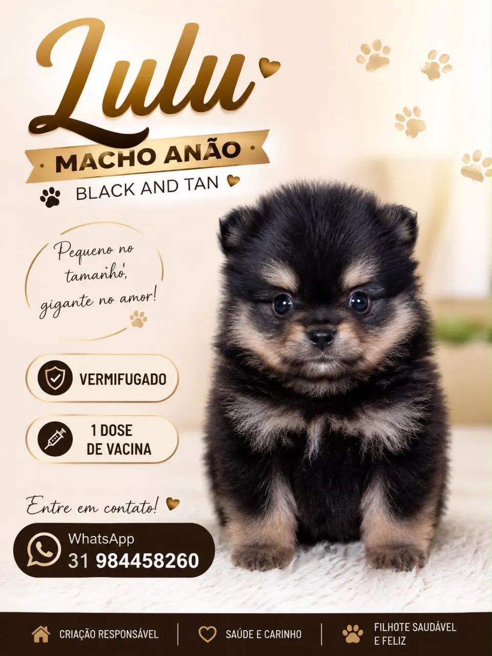 Lulu - Foto 3