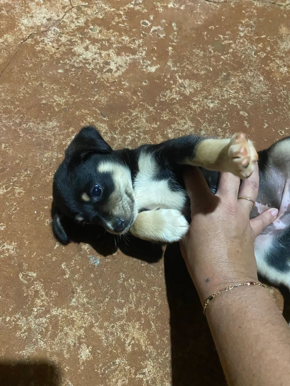 Doação  - Foto 2