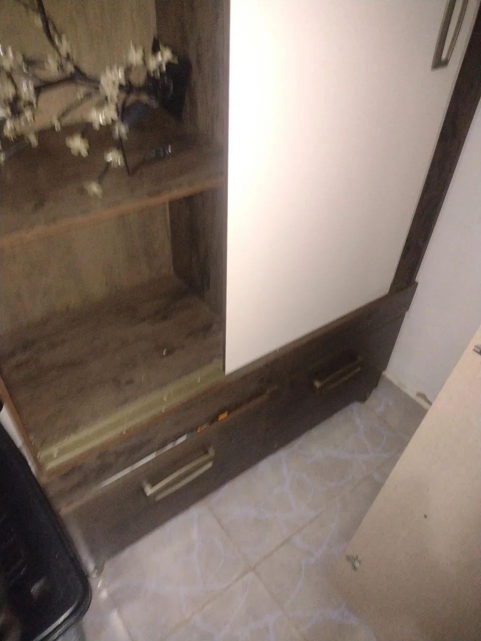 Guarda roupa - Foto 2