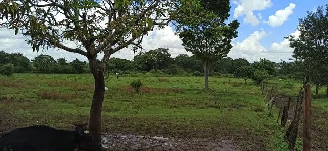 Chácara 42.000 metros Chácara Recreio Samabaia - Foto 7