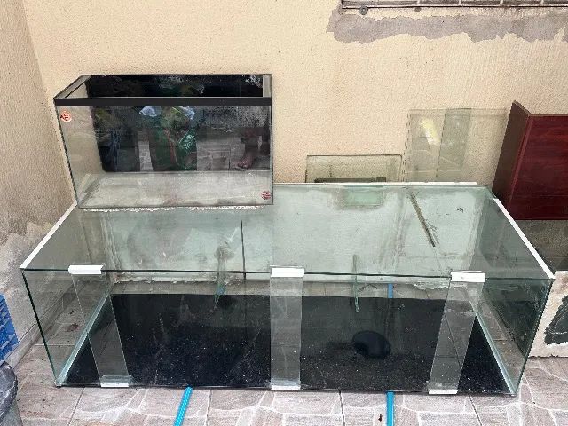 Aquário  - Foto 3