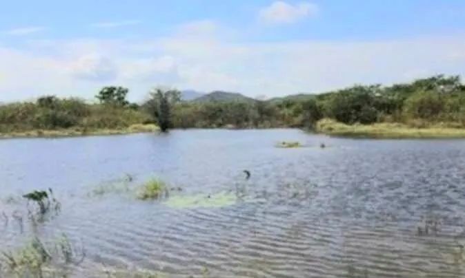 Fazenda  El Shadday ( São Luiz) - Foto 4