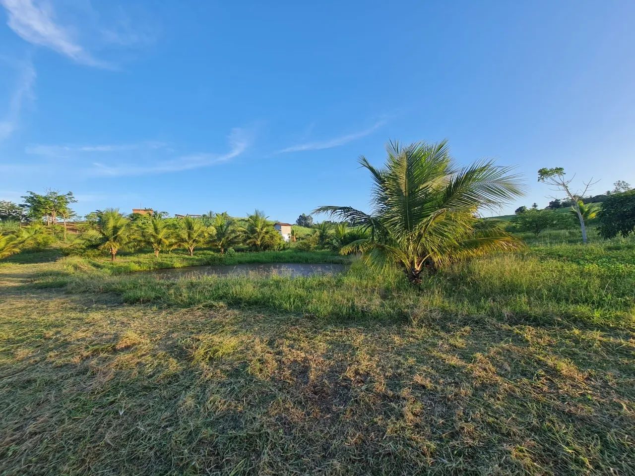 Vendo terreno em trigueiros  - Foto 3