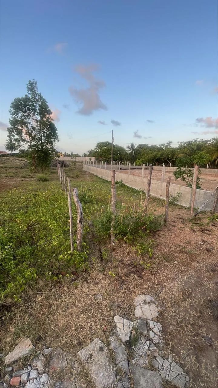 Vendo terreno 