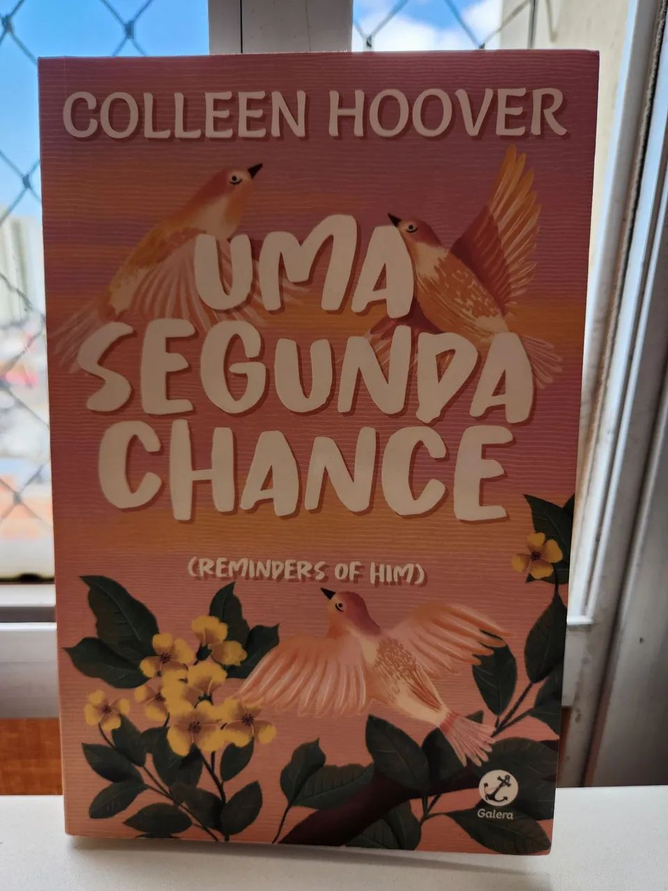 Livros colleenn Hoover - Foto 2