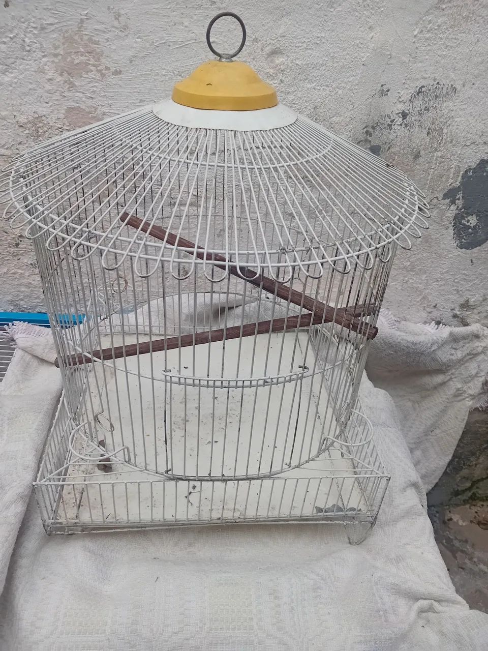 Gaiola CALOPSITA top