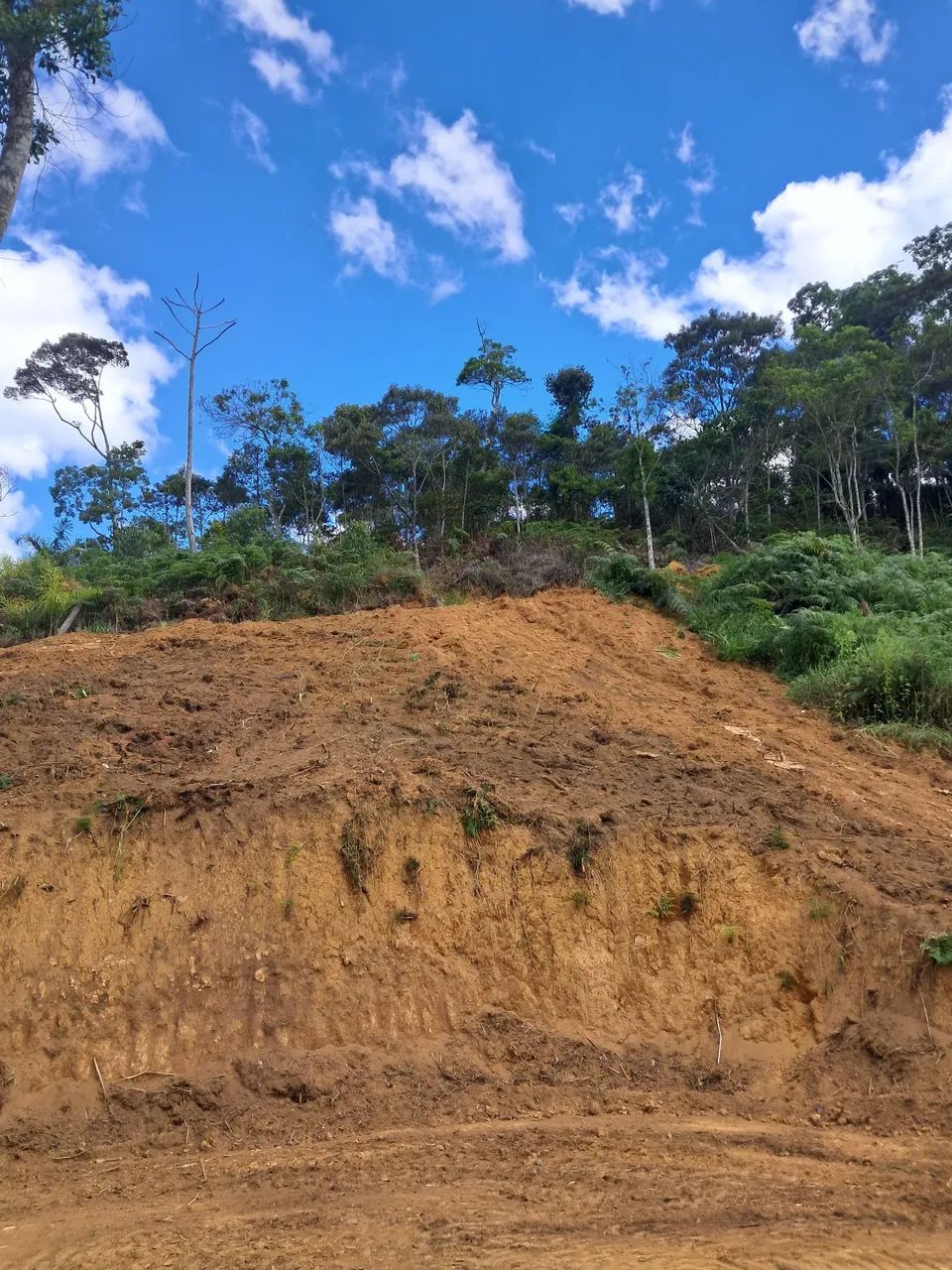 Chácara 1500m2 com água, luz e Internet (com proprietário) - Foto 4