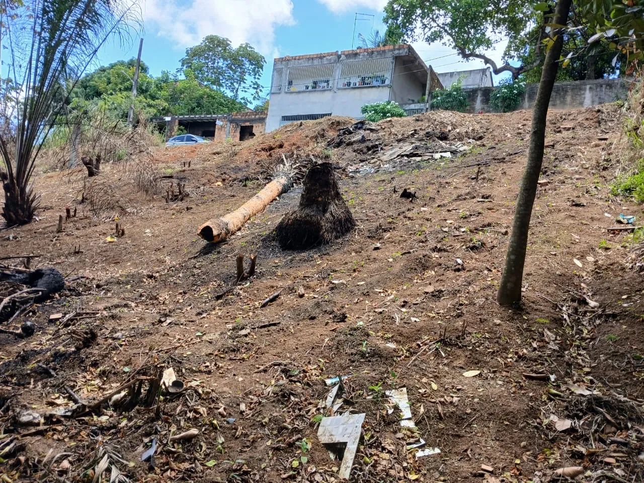 2 LOTES JUNTOS EM MUSSURUNGA | 400m² - Foto 3