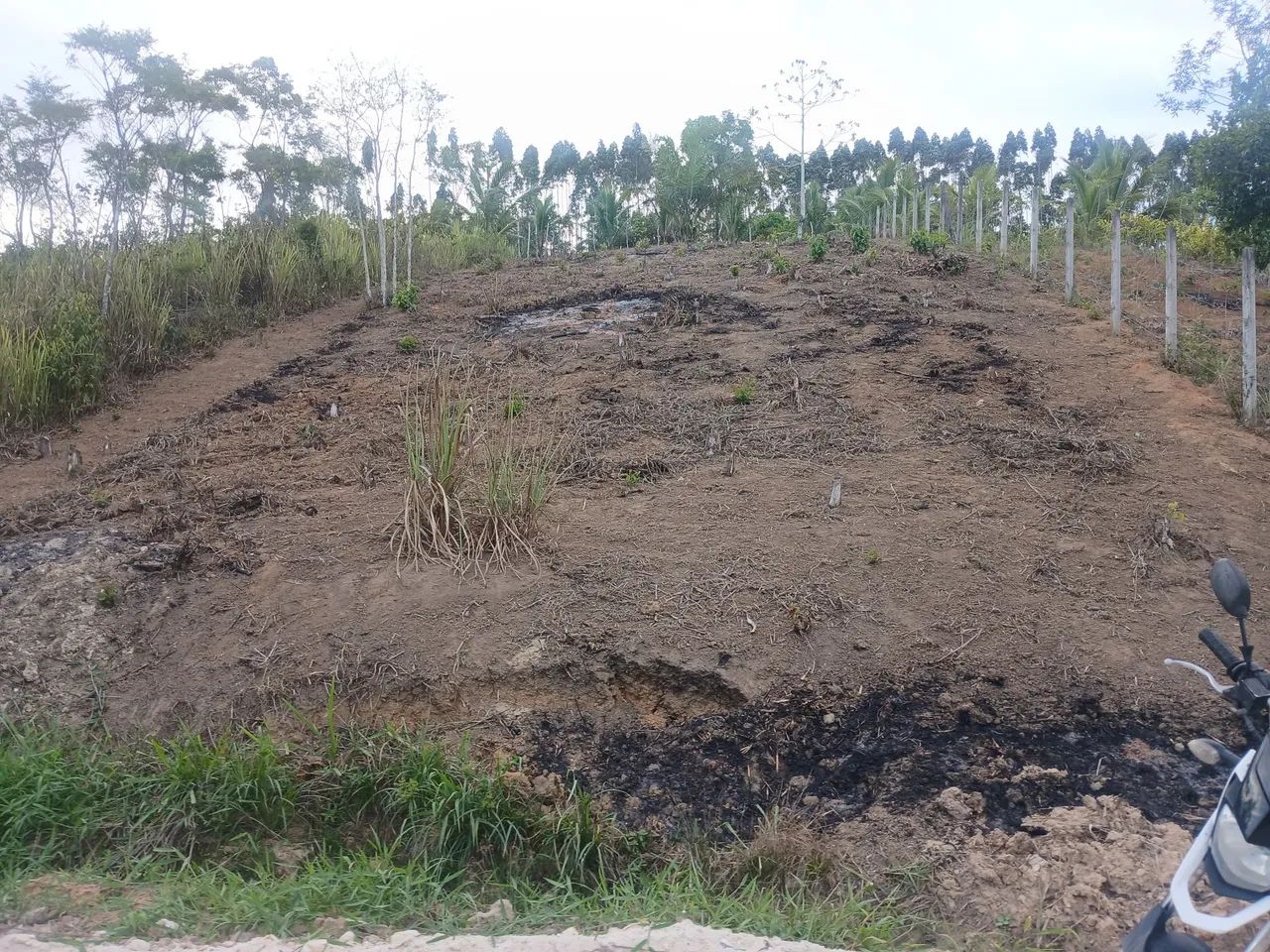 Terreno em paudalho - Foto 2