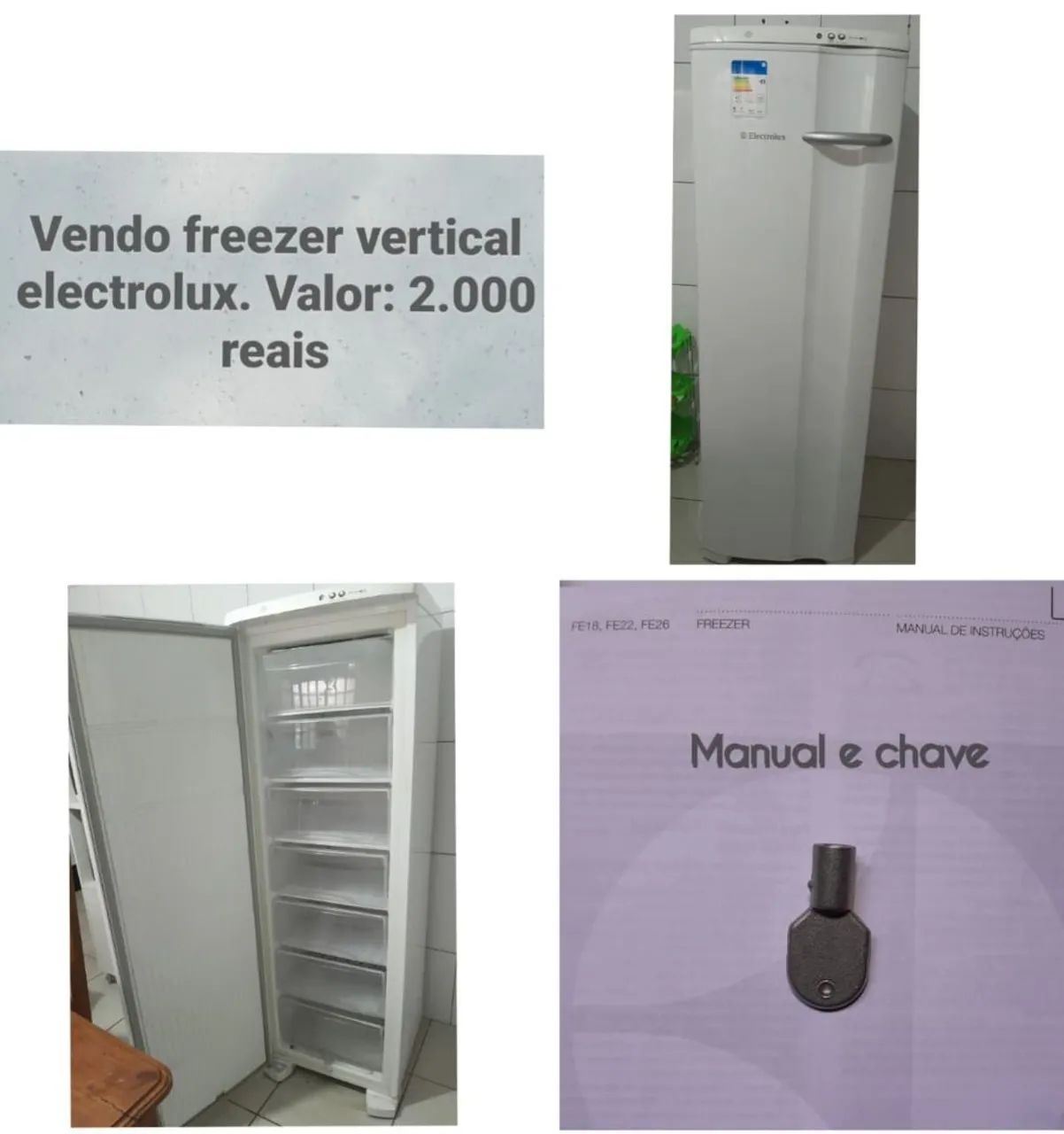 Freezer vertical