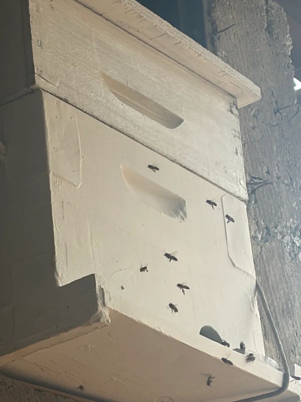 Caixa padrão Langstroth melgueira e ninho  - Foto 2