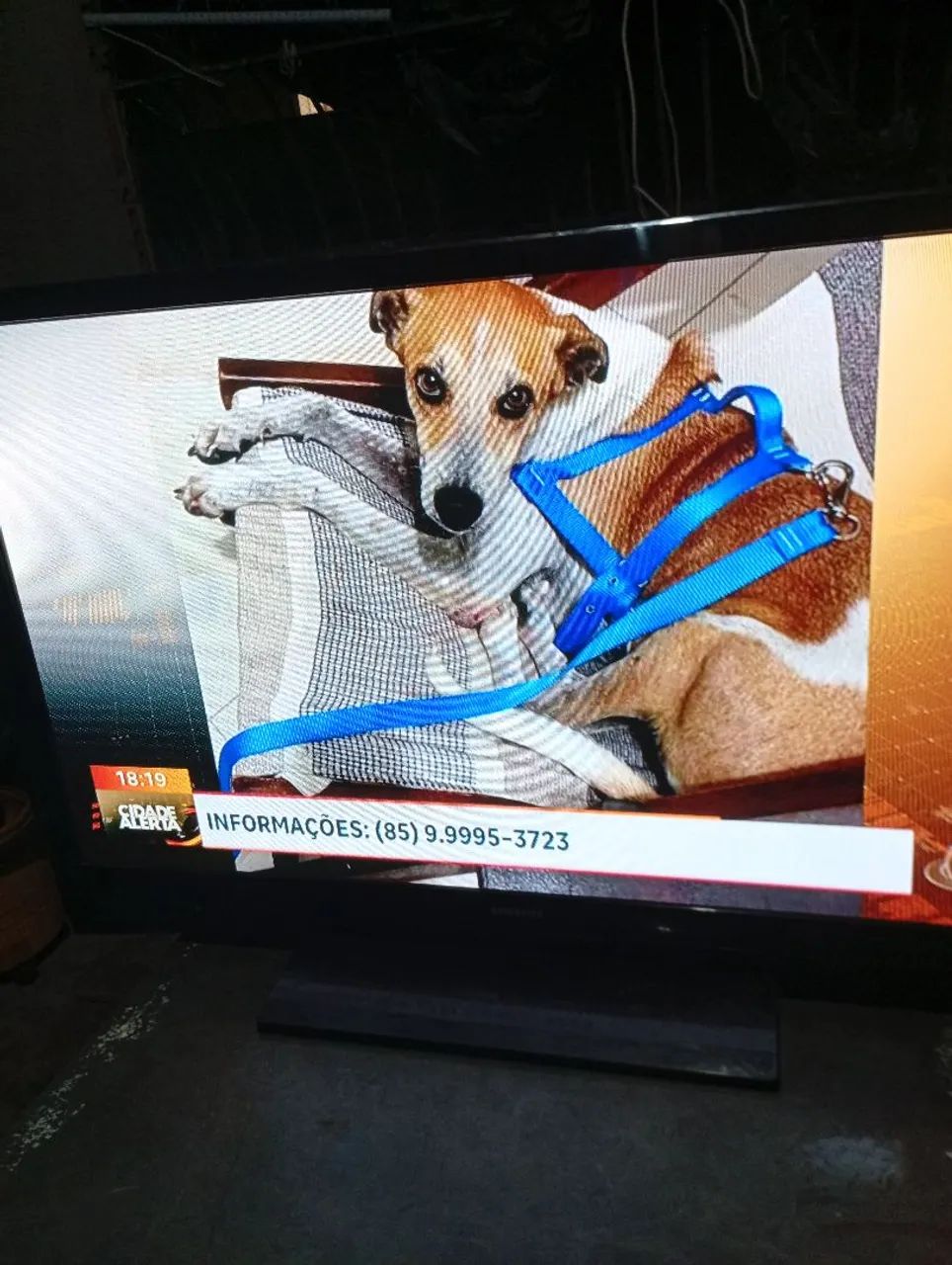 Tv nil plasma de 43 polegada sansug - Foto 3
