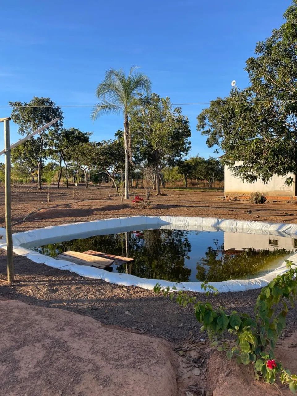 Sítio 30 Hectares Formado - Casa Ampla, Curral, Tanques de Peixe e Ótimo Acesso - Foto 3