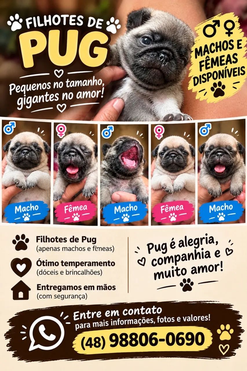 Pugs