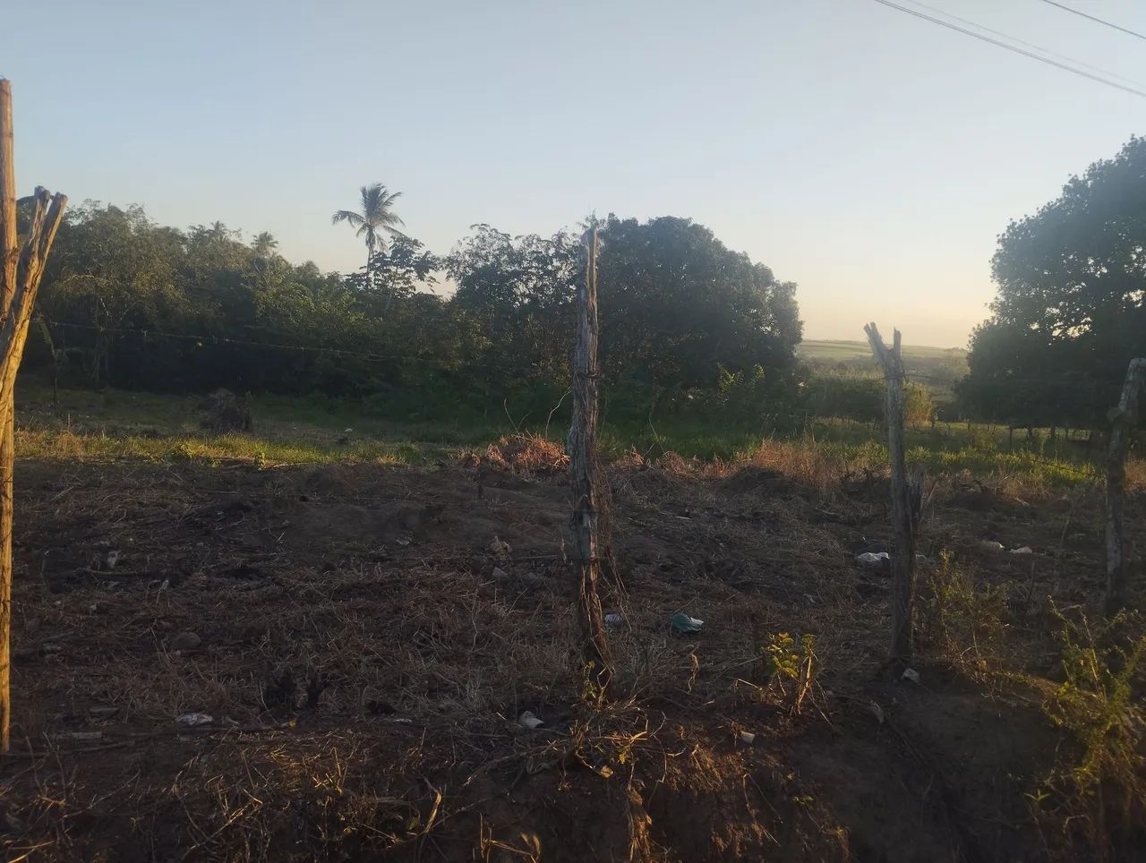 Terreno  - Foto 2
