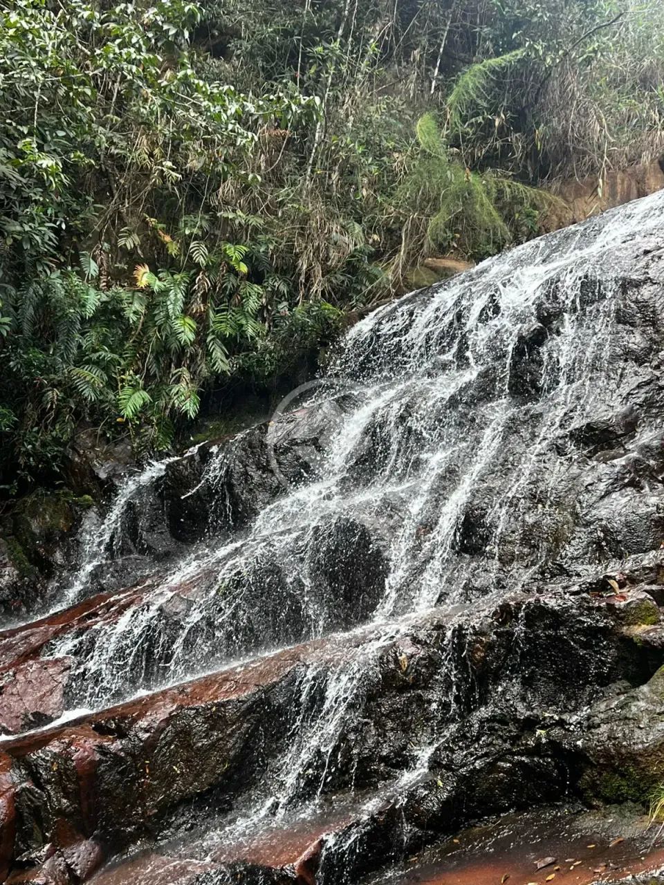 Terreno à venda codigo: 141831 - Foto 5