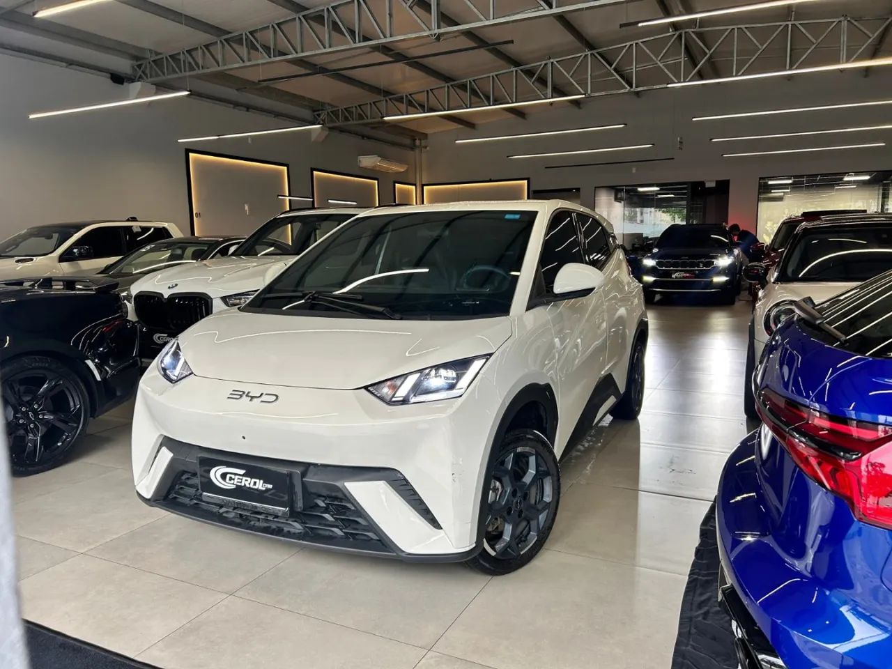 BYD Dolphin Mini (Elétrico) 2026 - Foto 2