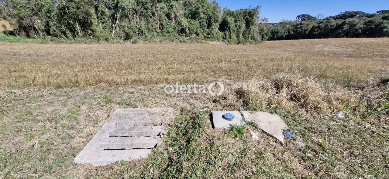 Terreno em Araucária - Foto 3