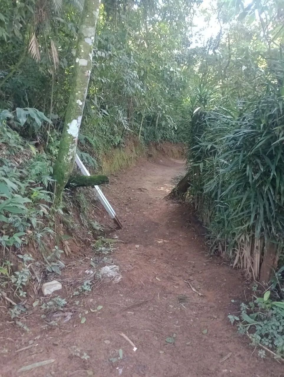 Mini sitio - Foto 4