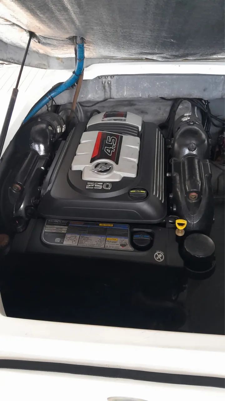 Mercruiser 250 HP 4.5 V6 (Centro Rabeta)