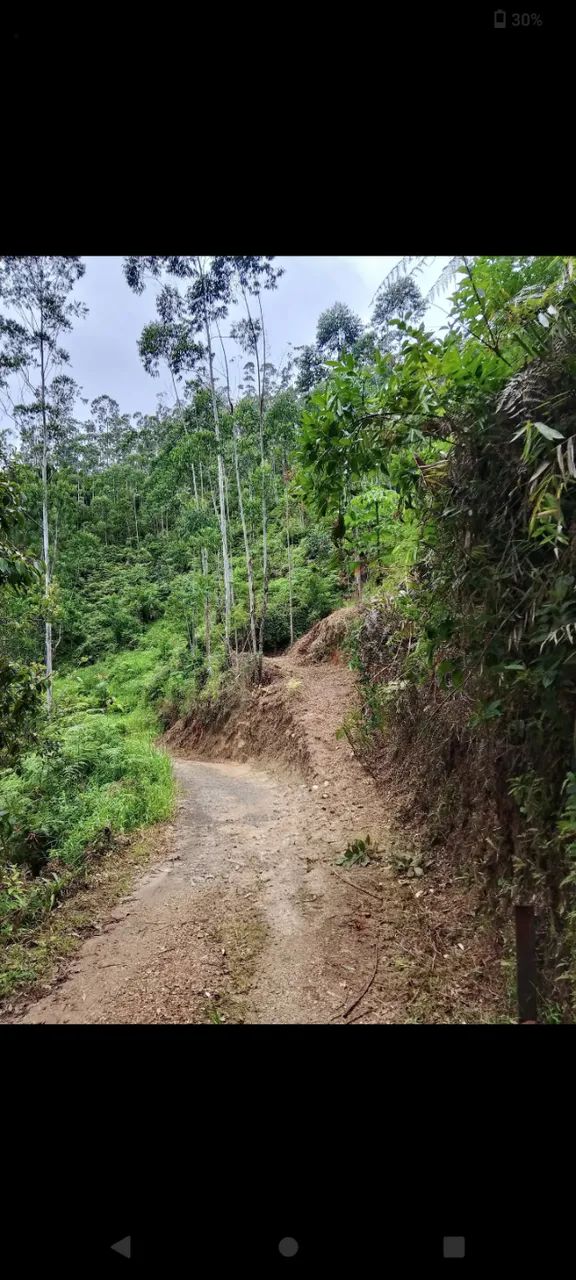 Terreno de sítio com platô pequeno para chalé 2900 metros