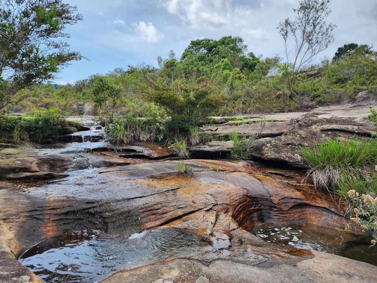 Vendo Chácara 5.000M2 - Foto 3