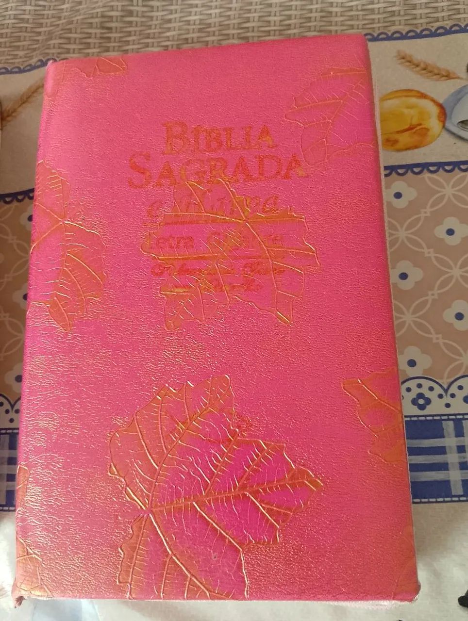 Vendo Bíblia com zíper 