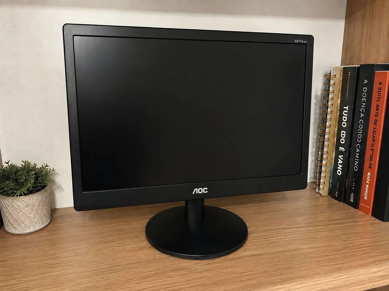 Monitor 