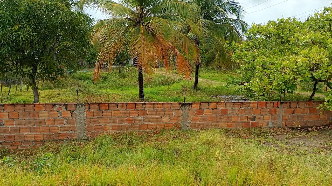 Terreno 25x410 mts com casa  - Foto 3