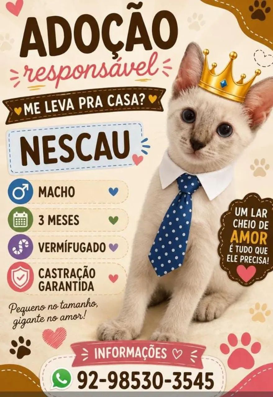 Doação de animais 