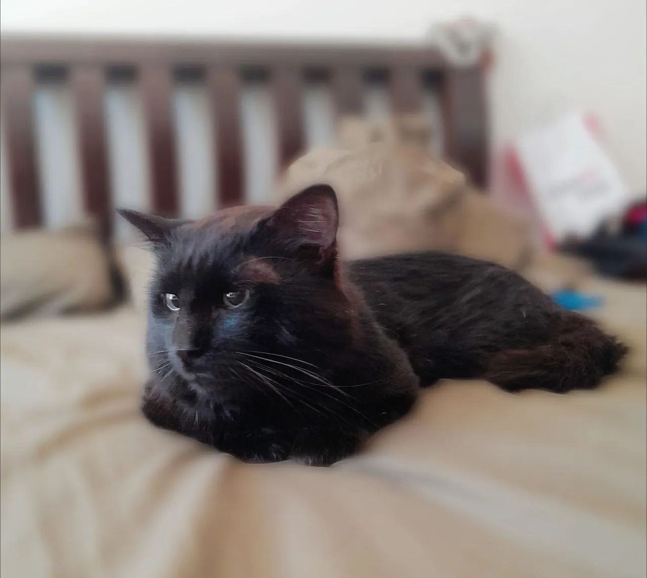 Flynn