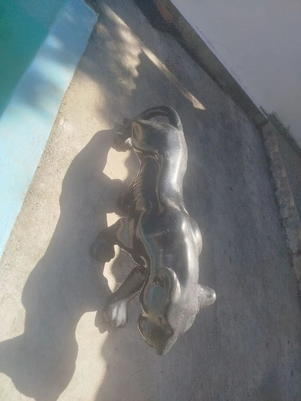 Jaguar preto 