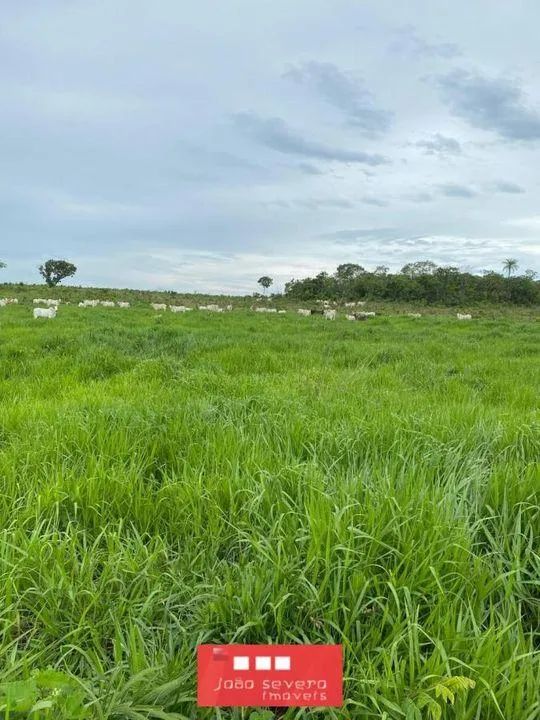 Fazenda para Venda em Palmas - Foto 2