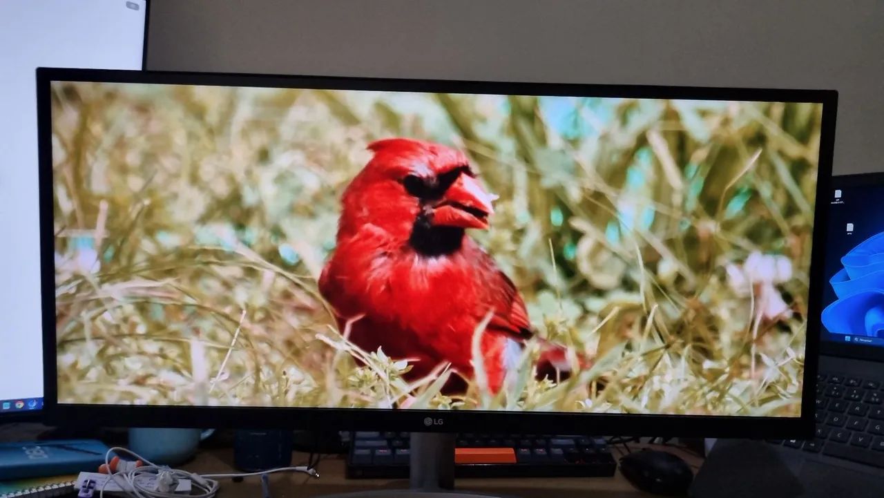 Monitor LG UltraWide 29 polegadas mocelo 29wk600 - Foto 3