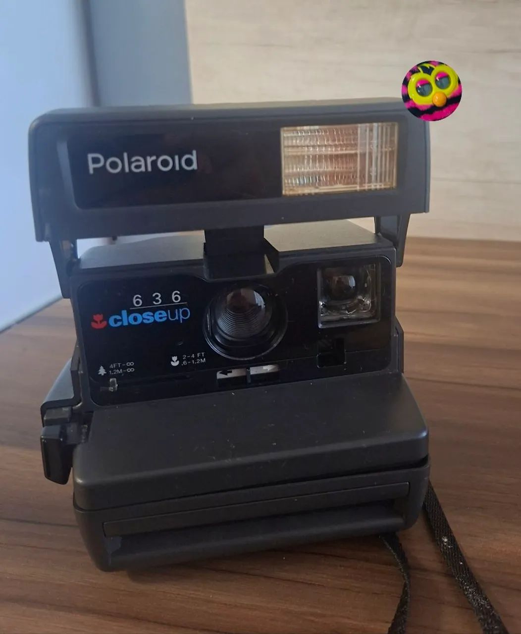 Camera poraloid classica