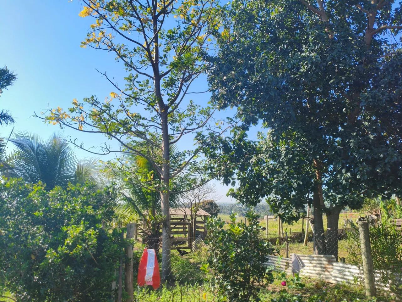 Vendo chácara  - Foto 4