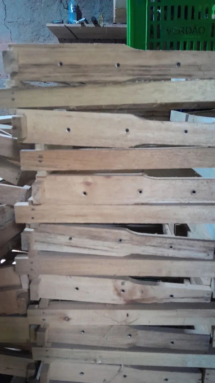 Apicultura  - Foto 5