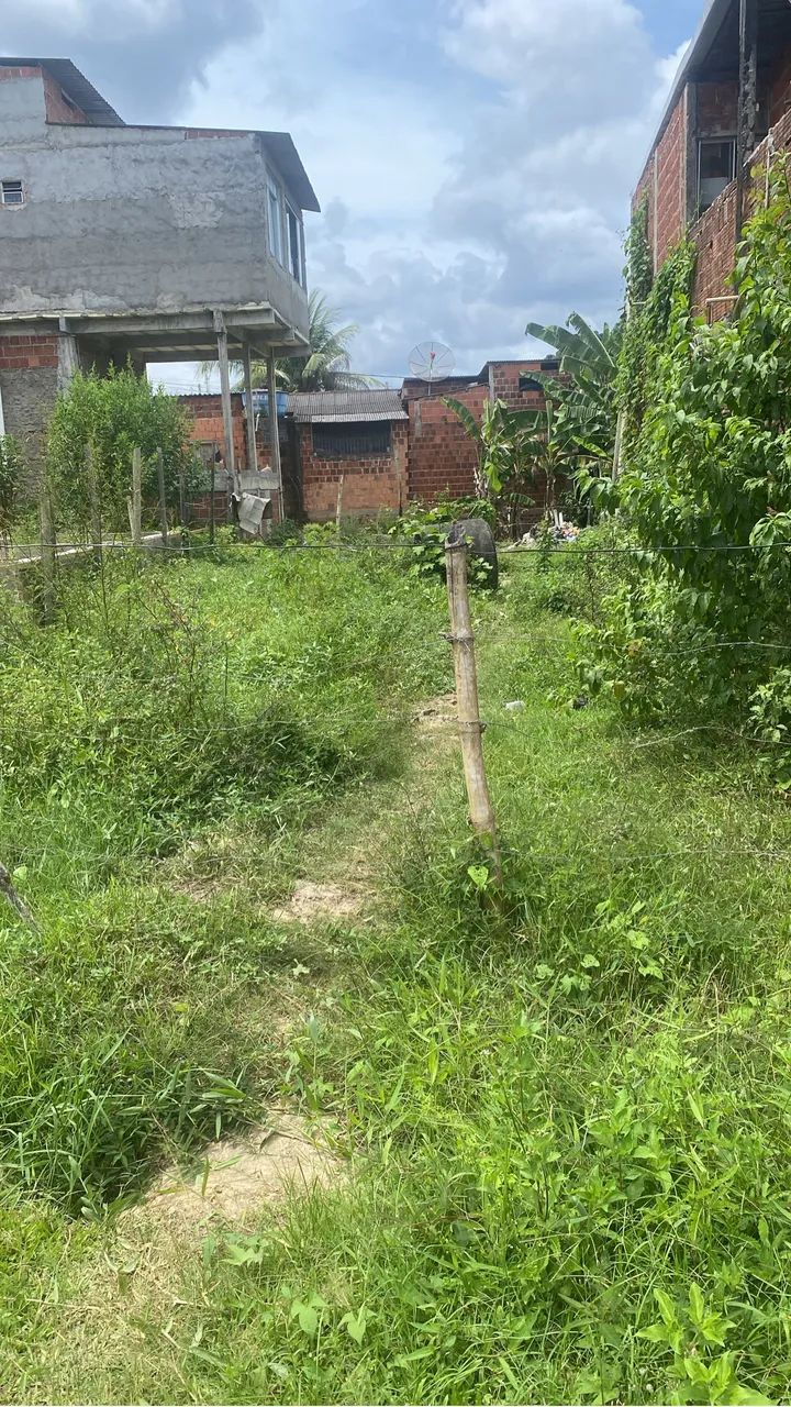 Foto - Ilhéus - Salobrinho