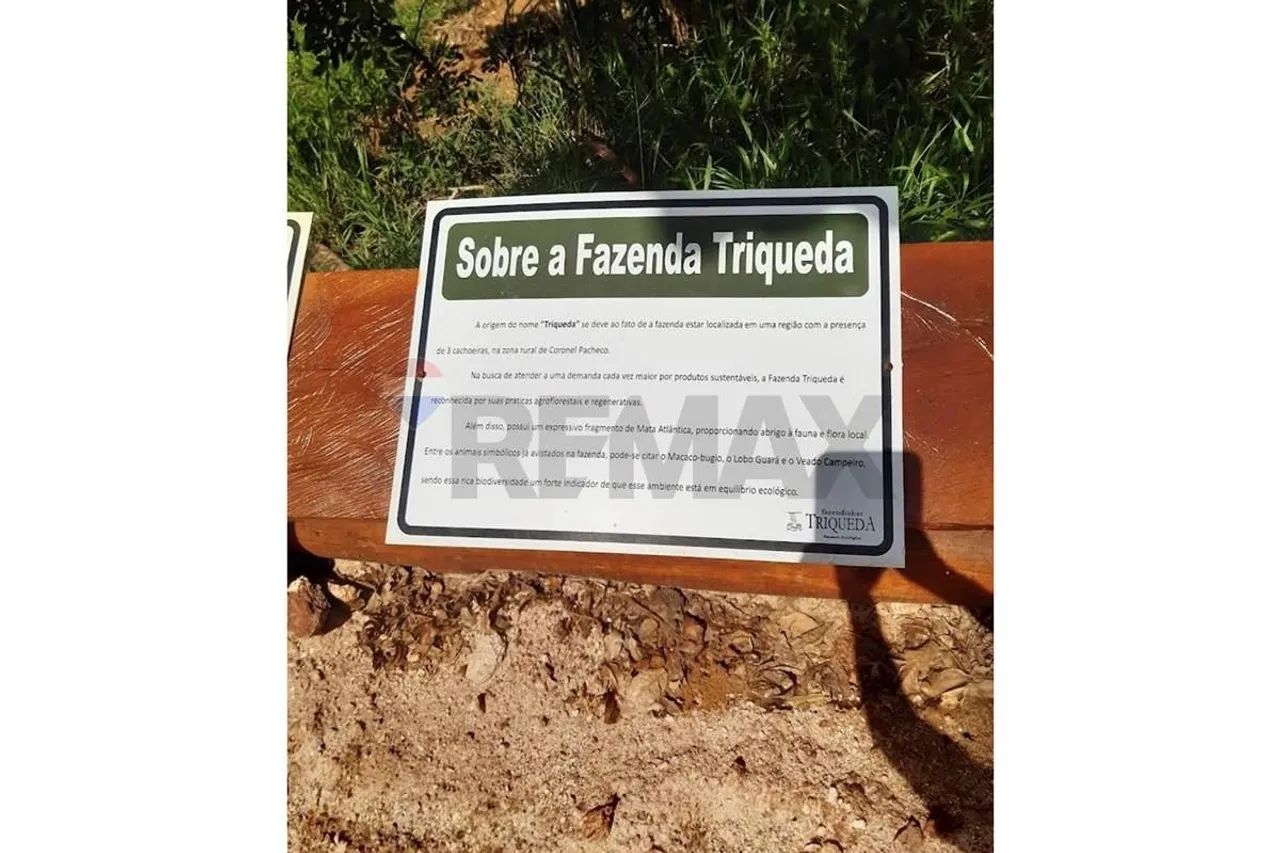 Terreno 20.000m2 a poucos minutos de Juiz de Fora - Foto 6