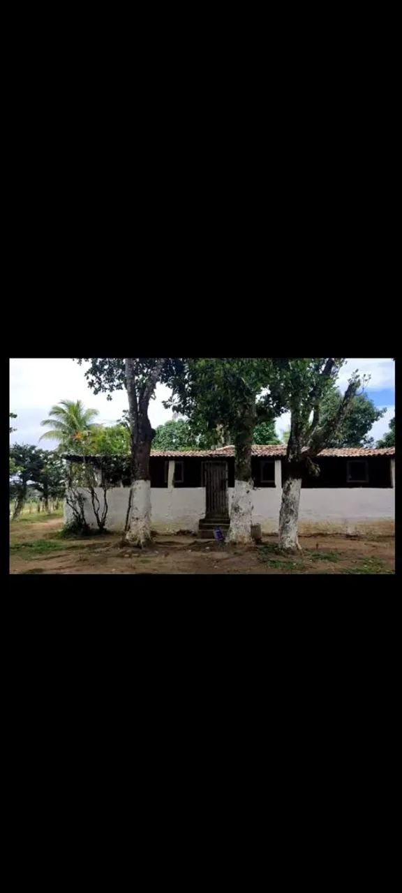 Vendo Fazenda - Foto 2
