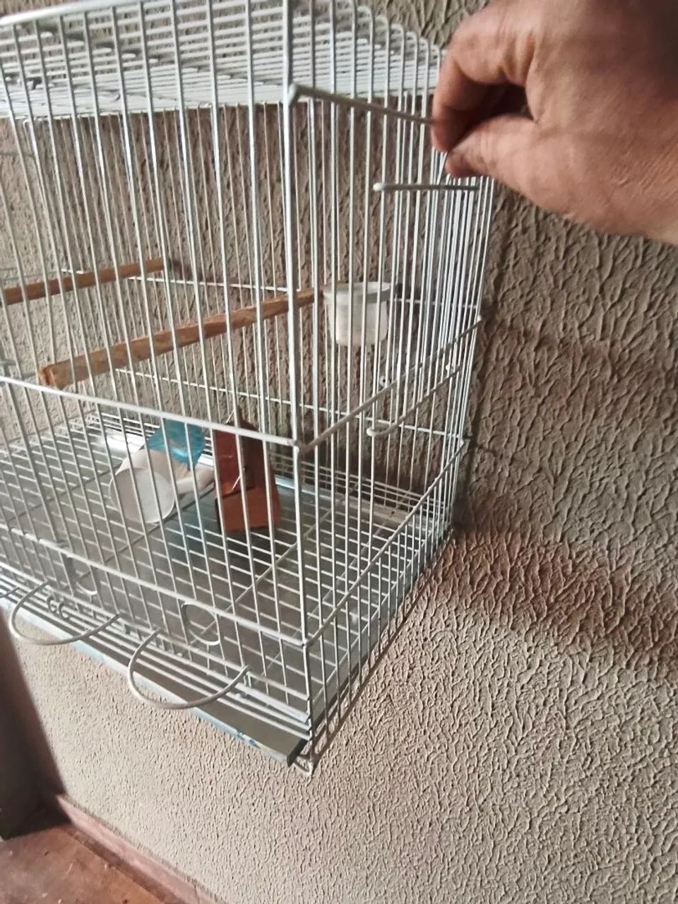 Gaiolas de aço para canários semi novas - Foto 5