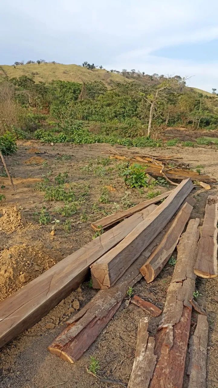 CHÁCARA ÀS MARGENS DO RIO PARAUAPEBAS  - Foto 4