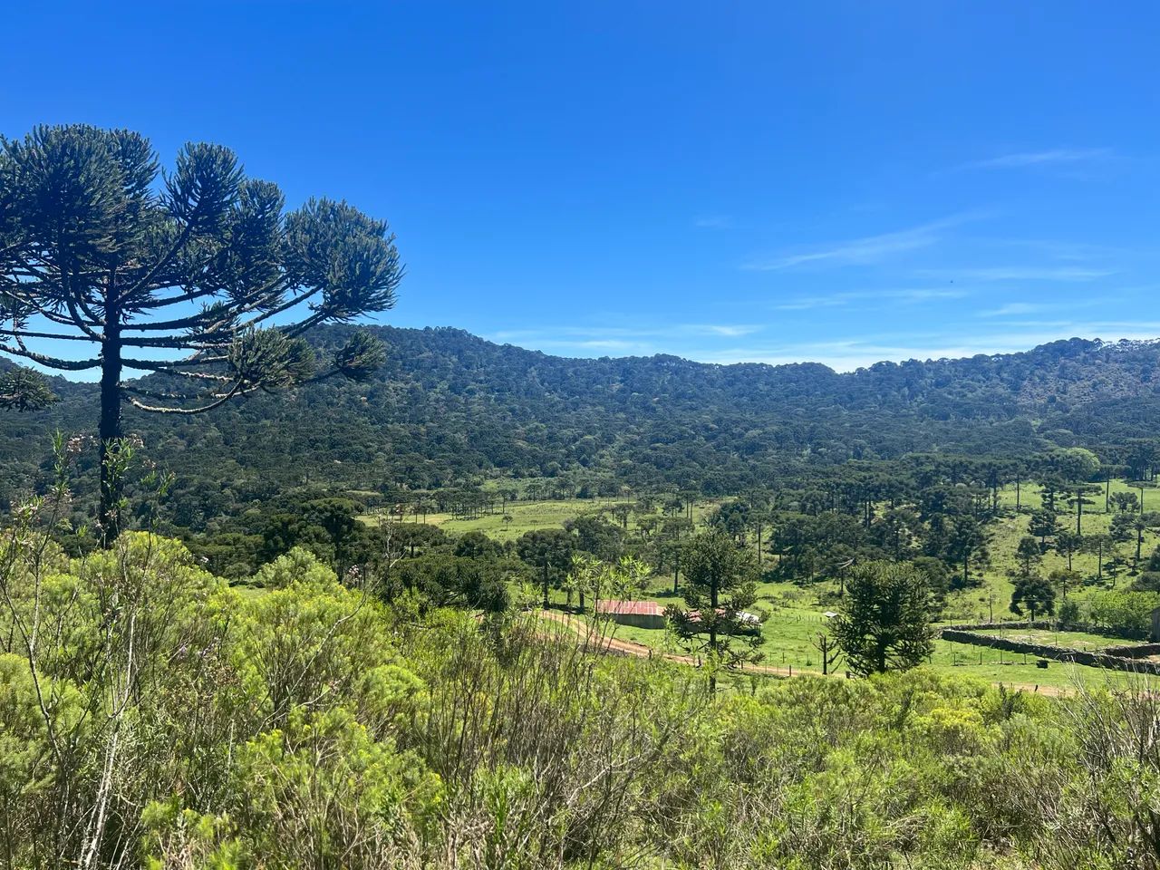 Fazenda em Urubici - 131 hectares  - Foto 11