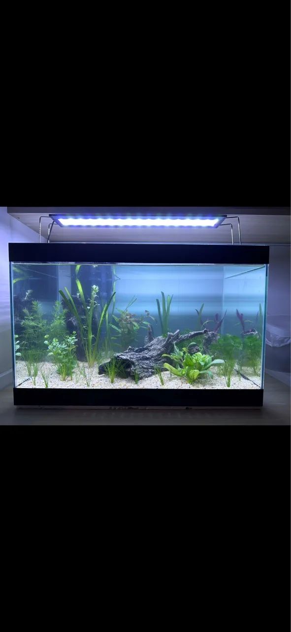 Kit Aquario