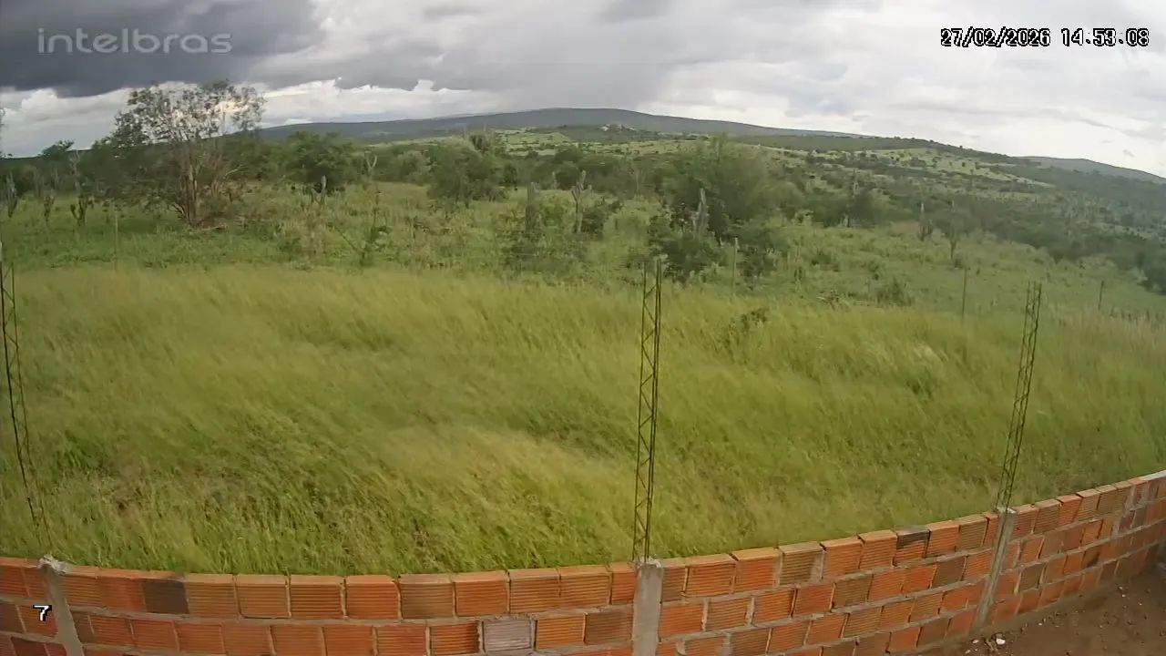 Fazenda 98 Tarefas Brejões-BA Excelente Terreno Oportunidade Negócio Rural roça - Foto 10