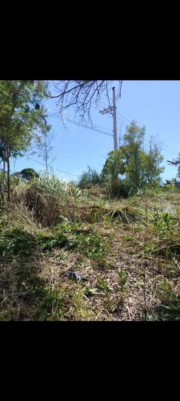Lote Mirante da Praia - Foto 2