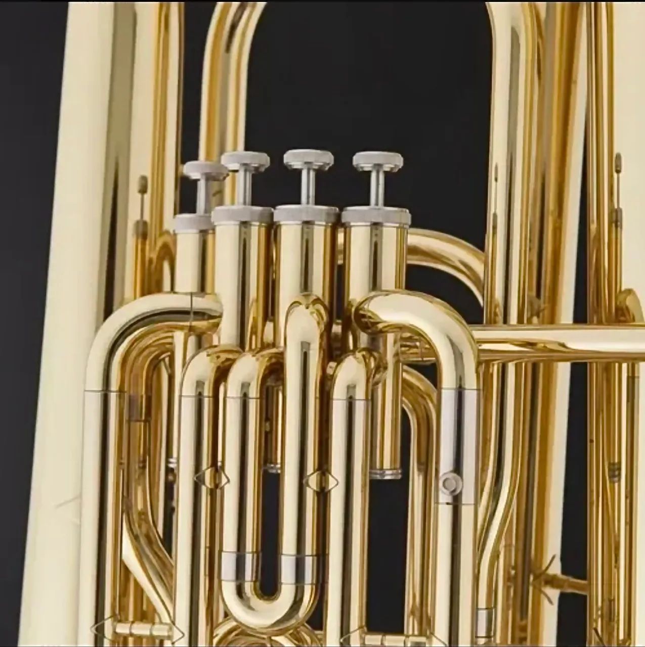 TUBA SCHIEFFER BY J981 NOVA - Foto 2